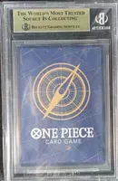 Back View